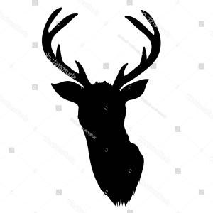 300x300 Single Deer Antler Vector Newwaysys
