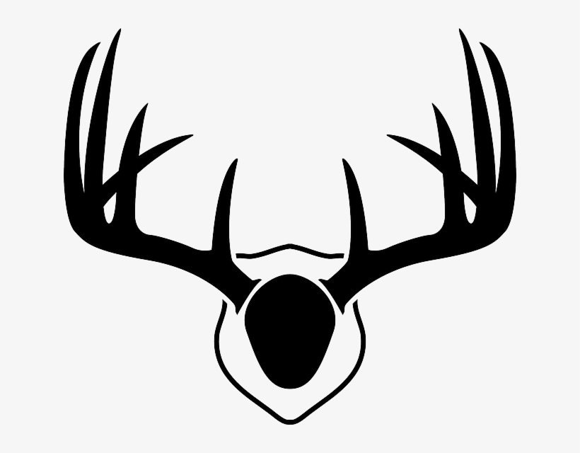 820x640 Antlers Deer Whitetail Free Vector Graphic
