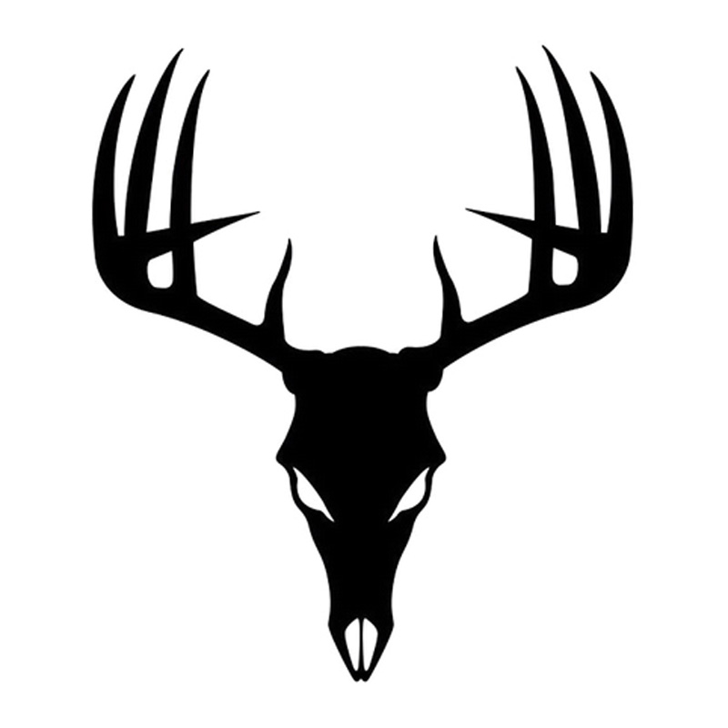 800x800 Deer Skull Silhouette Vector