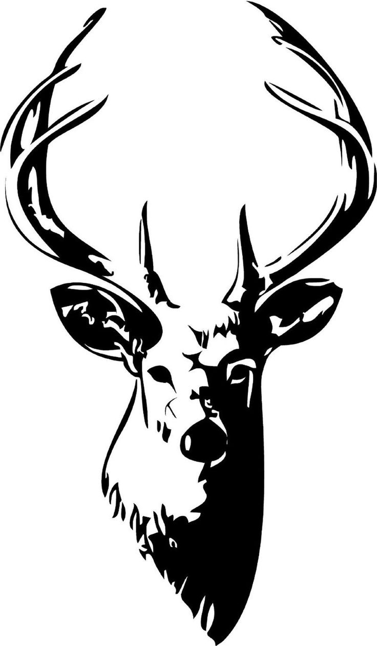 736x1260 Deer Head Clipart Free Cliparts Download Images On Clipground