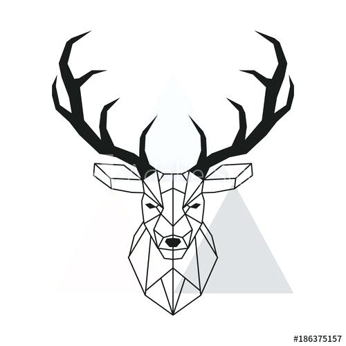 500x500 How To Draw A Deer Head Step