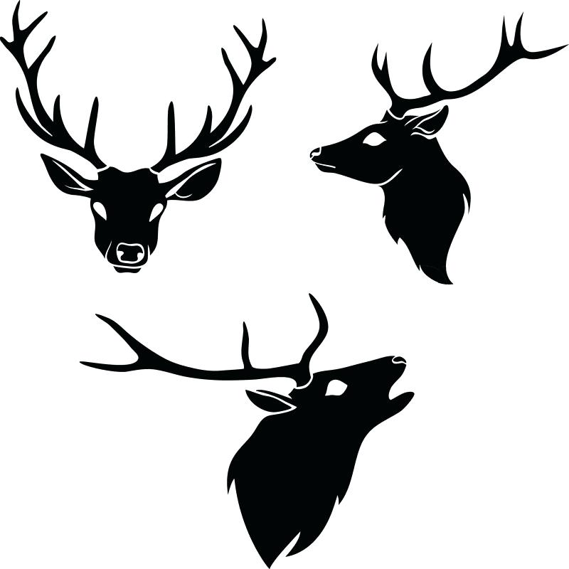 Download Deer Head Silhouette Vector at Vectorified.com ...