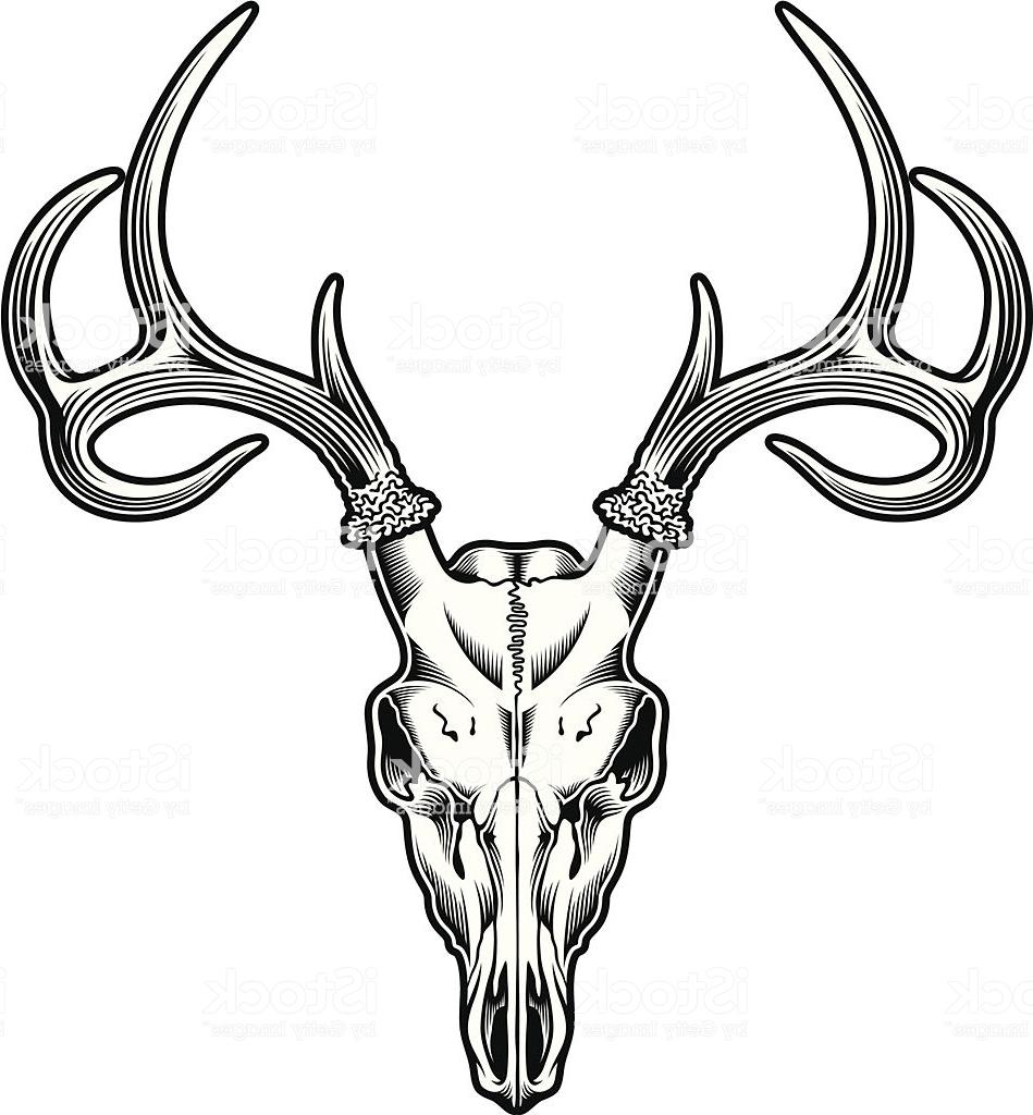 949x1024 Collection Of 'deer Skull Silhouette Vector' Download More Than