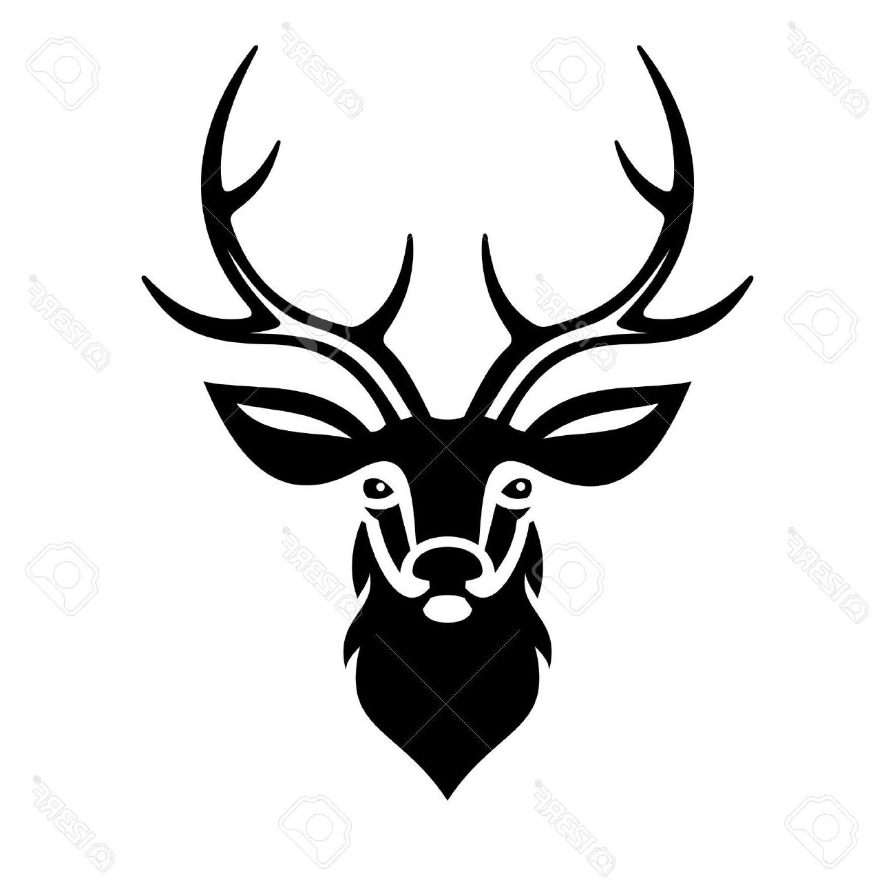 1300x1300 Best Hd Deer Buck Drawings Vector Pictures Free Vector Art