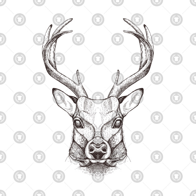 630x630 Deer Head Vector Sketch