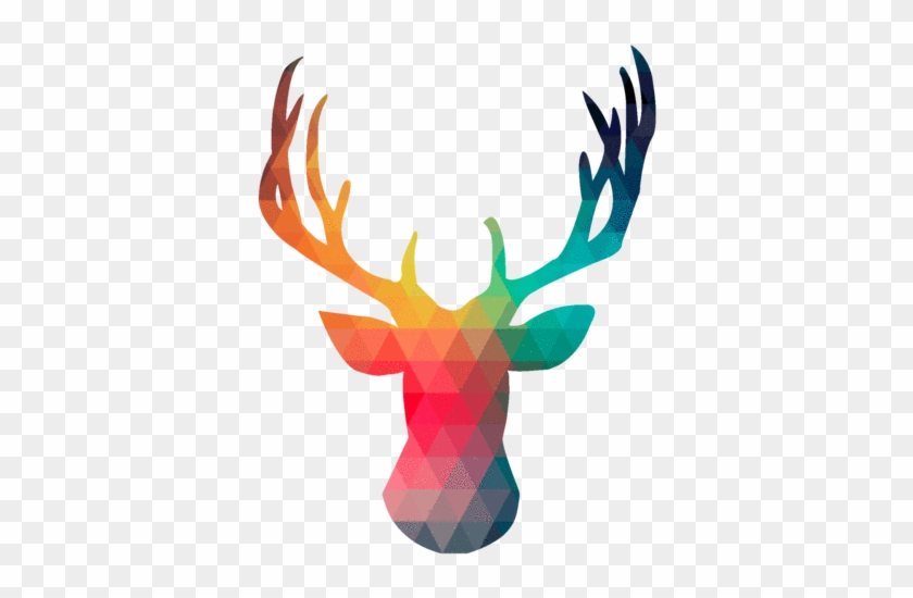 840x550 Feminine Deer