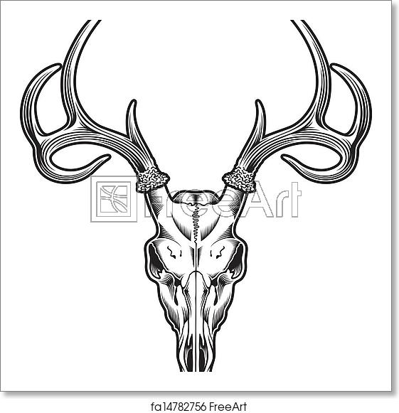 561x581 Free Art Print Of Deer Skull Vector Editable Vector Illustration