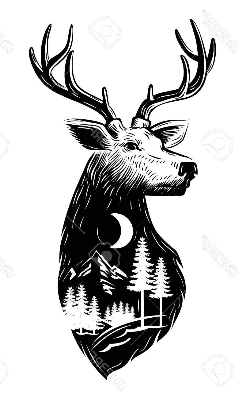 816x1300 Hd White Deer Head Vector Image Vector Images Design