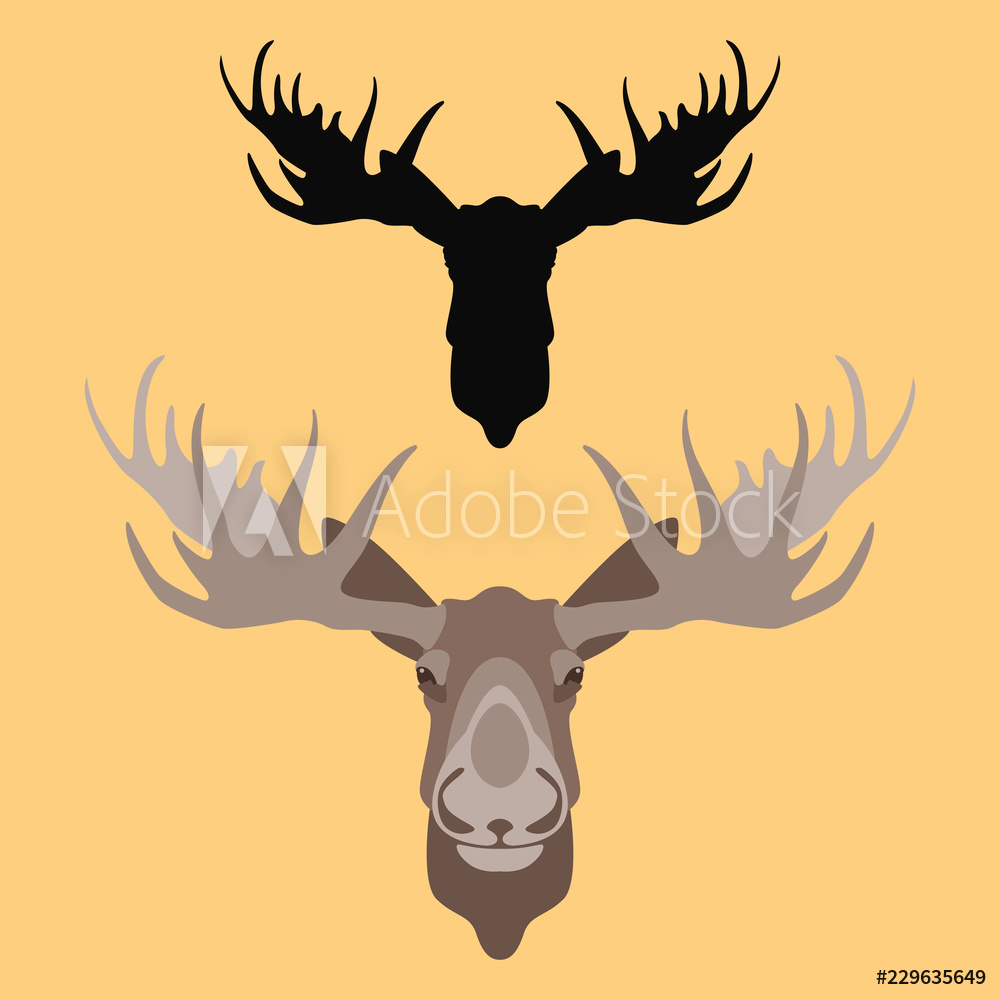 1000x1000 Photo Art Print Deer Head Vector Illustration Flat Style Front