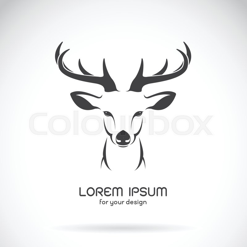 800x800 Vector Image Of A Deer Head Design On Stock Vector Colourbox