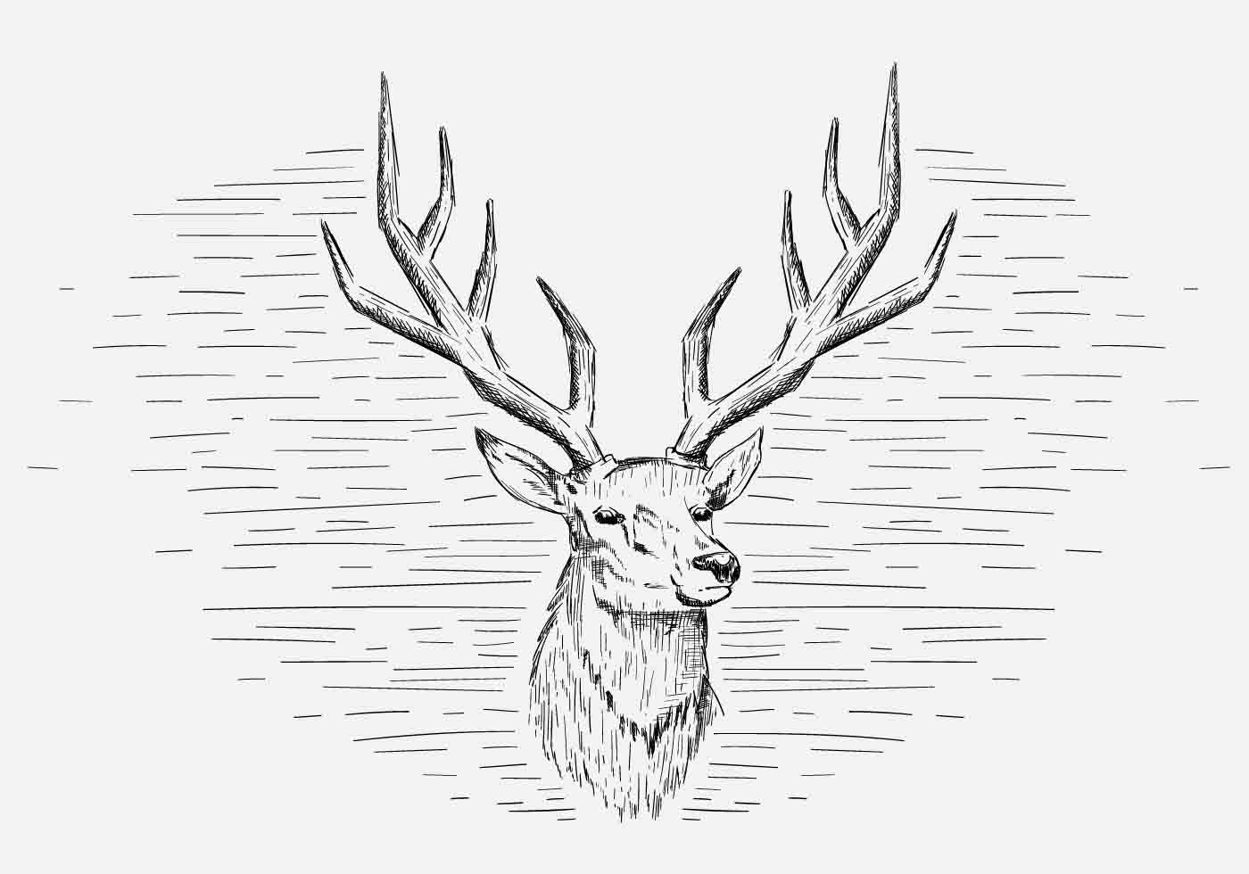 1400x980 Deer Head Free Vector Art