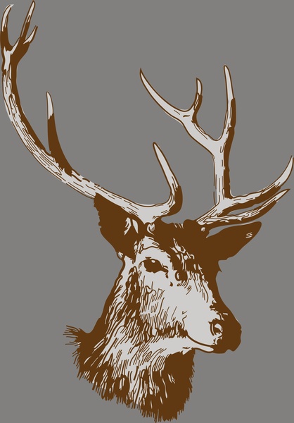 418x600 Deer Head Vector Free Vector In Encapsulated Postscript