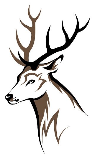 322x537 Deer Vector Art Illustration Engraving Deer Drawing, Animal