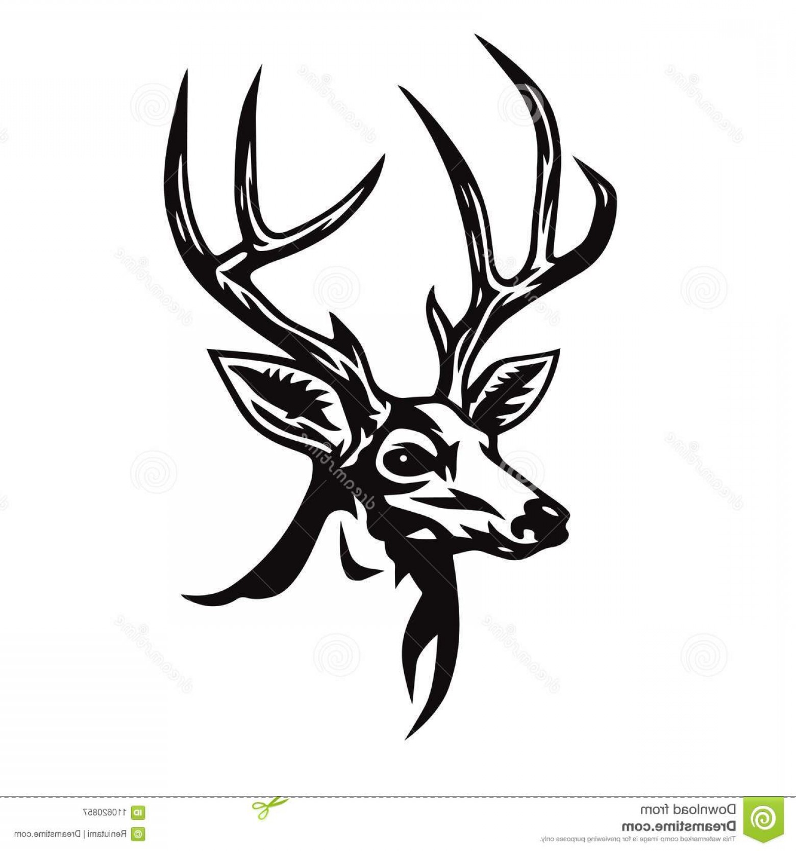1560x1668 Buck Head Vector Catamart