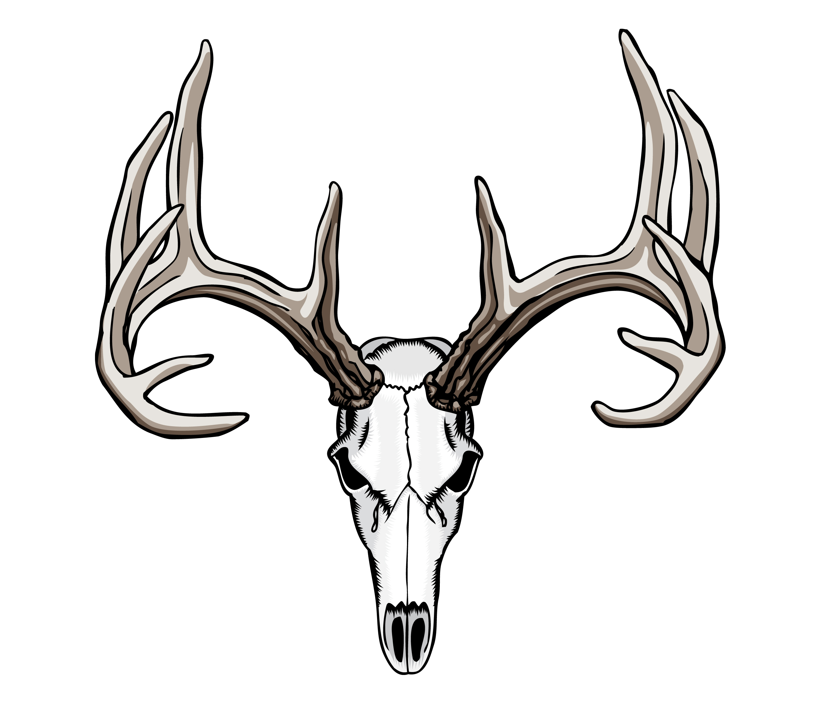 2800x2400 Collection Of 'deer Skull Silhouette Vector' Download More Than