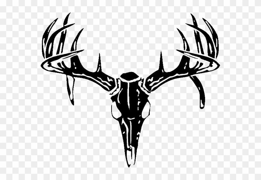 840x580 Dear Skull Vector