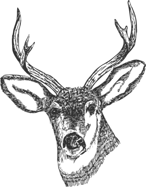 468x598 Deer Head Clip Art Free Vector In Open Office Drawing