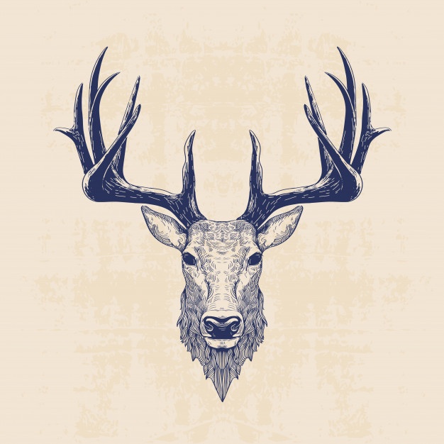 Deer Head Vector Free at Vectorified.com | Collection of Deer Head ...