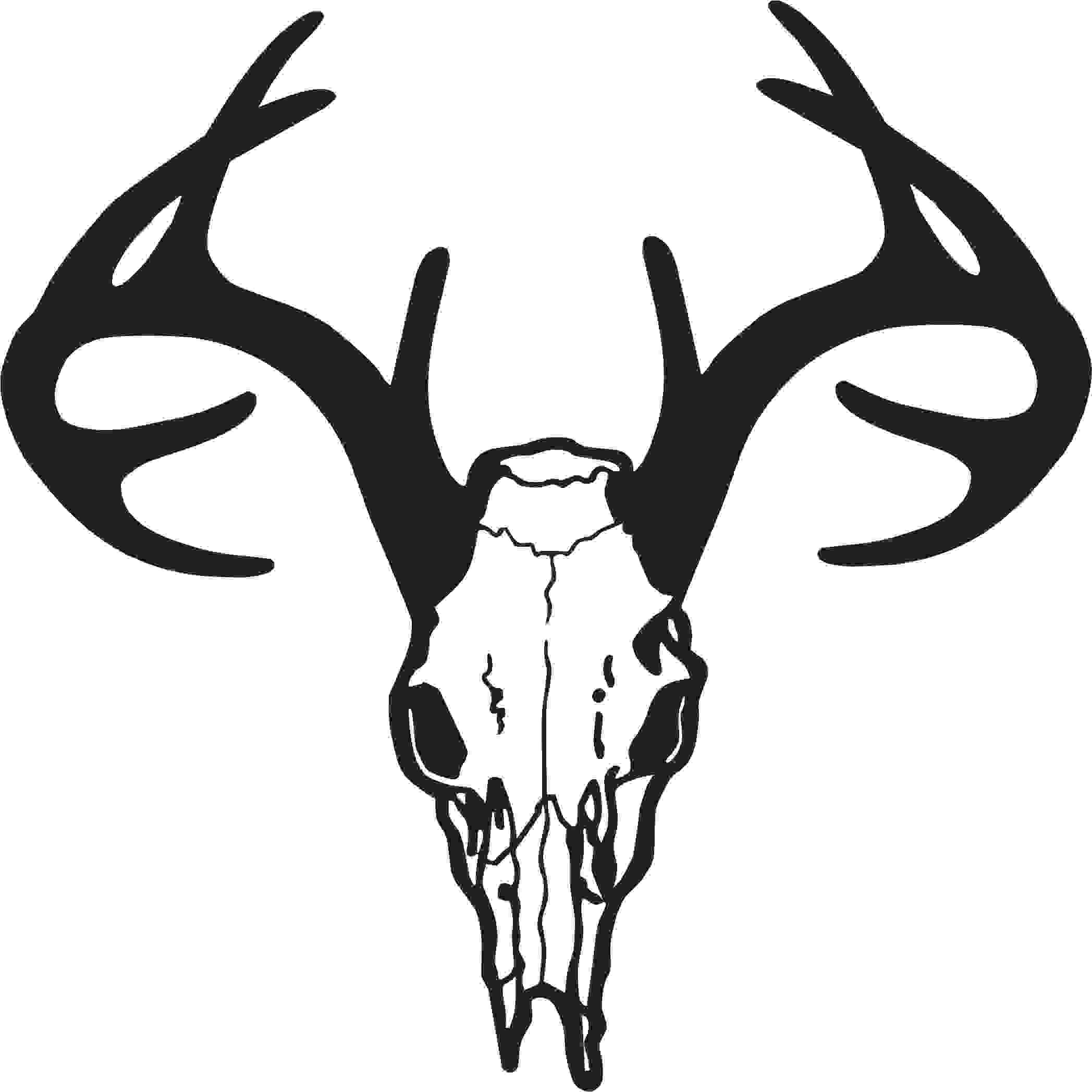 2095x2095 Huge Collection Of 'deer Skull Silhouette Vector' Download More