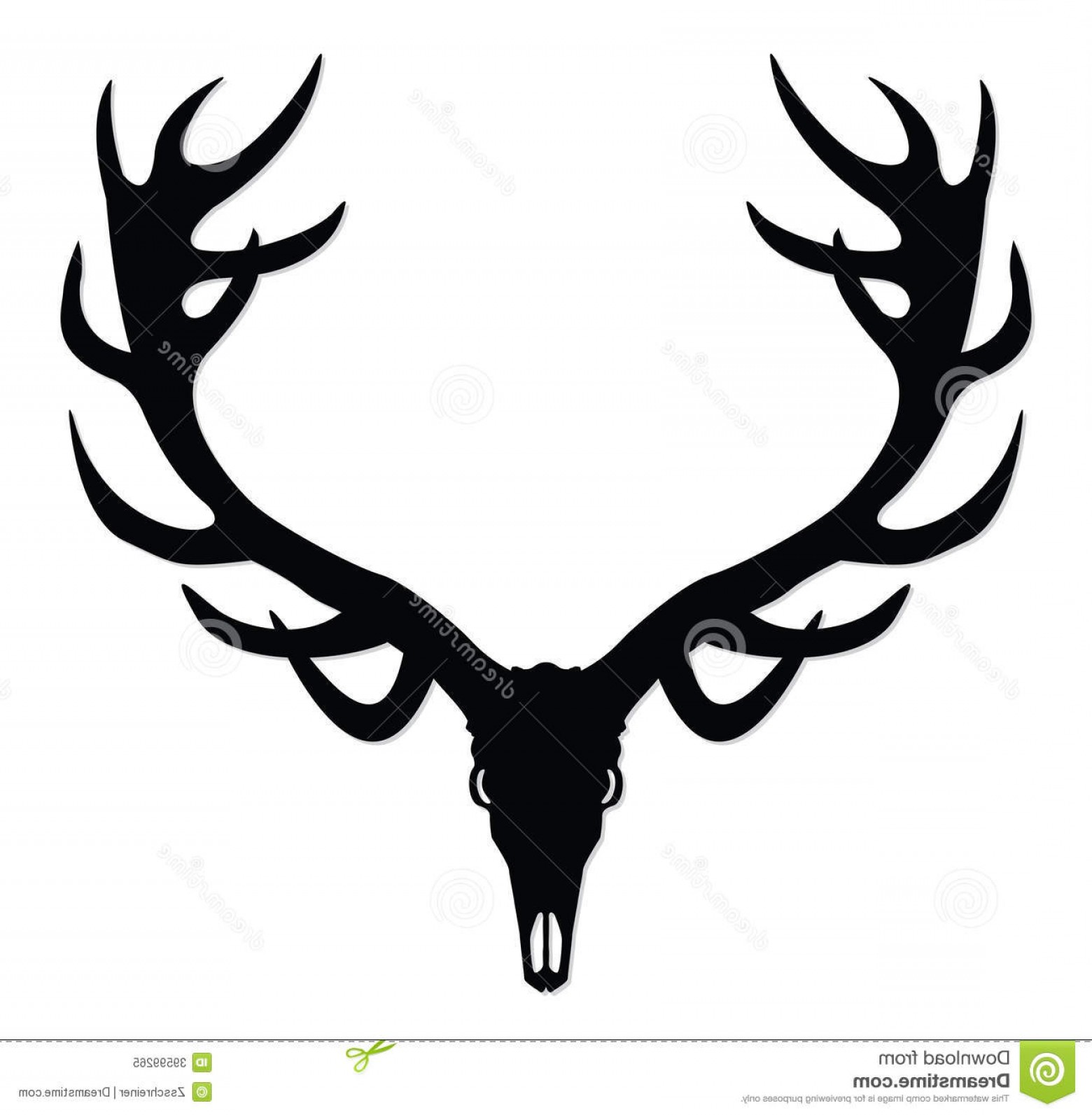 1560x1593 Royalty Free Stock Photo Deer Skull Antlers Silhouette