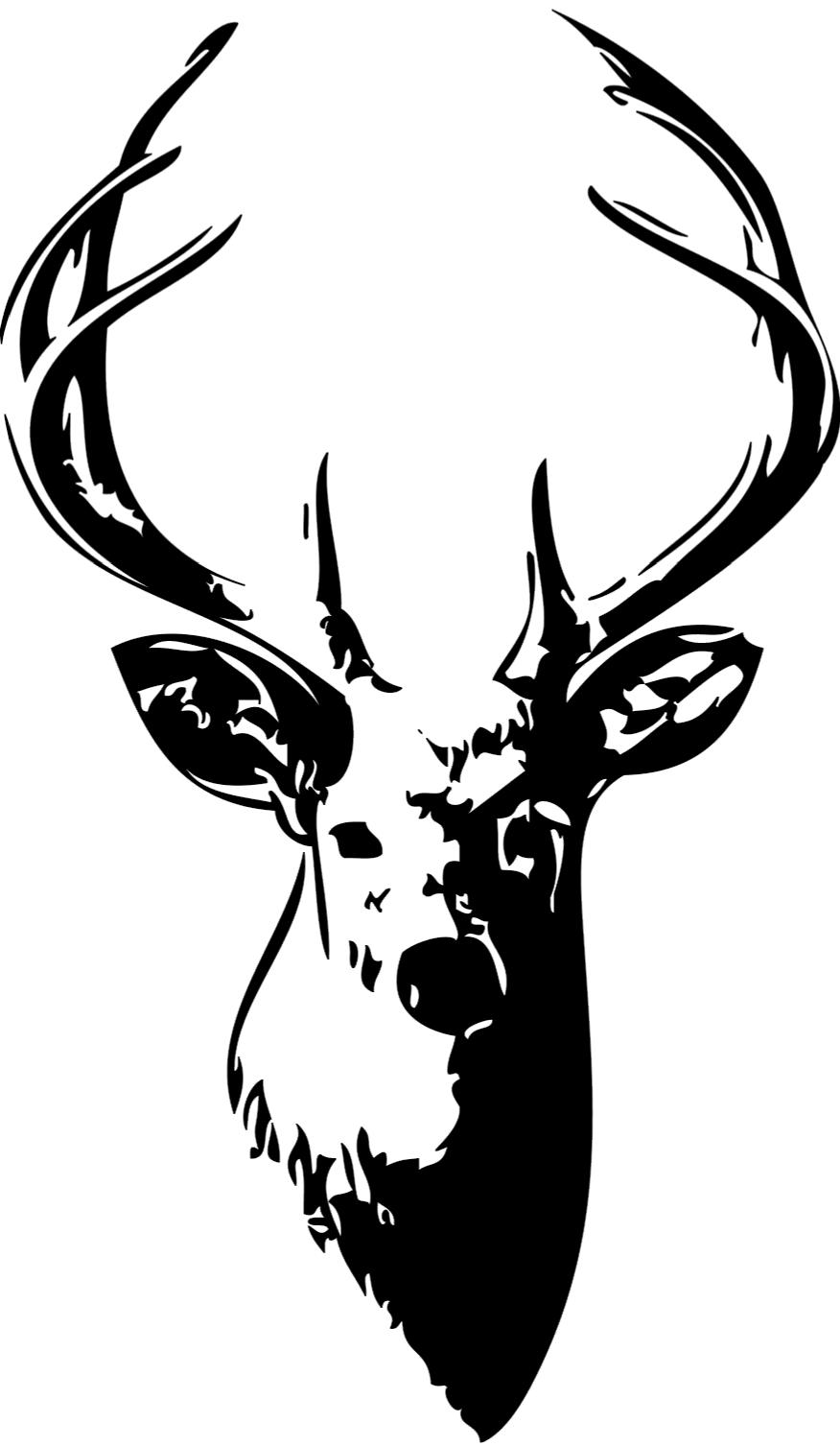 876x1507 Collection Of 'buck Head Drawing' Download More Than Images