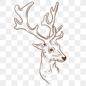 360x360 Deer Head Png, Vector, And Clipart With Transparent
