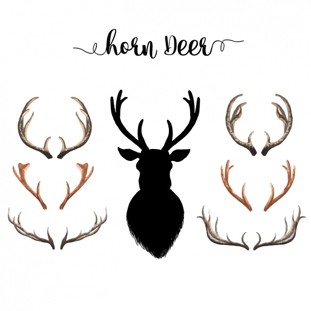 Deer Horns Vectors, Photos And Free Download 626x626 Deer Horns Vectors, Photos And Free Download