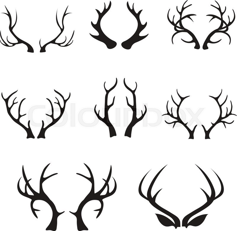 Vector Deer Antlers Silhouette Stock Vector Colourbox 800x779 Vector Deer Antlers Silhouette Stock Vector Colourbox