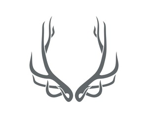 300x240 Deer Horn Photos, Royalty Free Images, Graphics, Vectors Videos