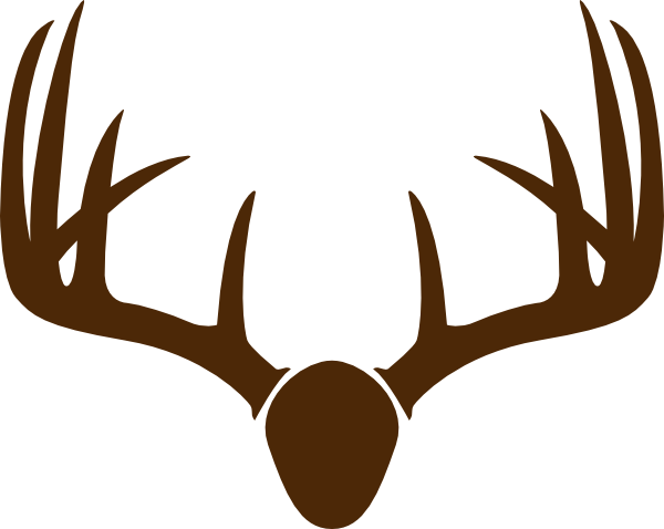 Collection Of 'deer Horns Drawing' Download More Than Images 600x478 Collection Of 'deer Horns Drawing' Download More Than Images