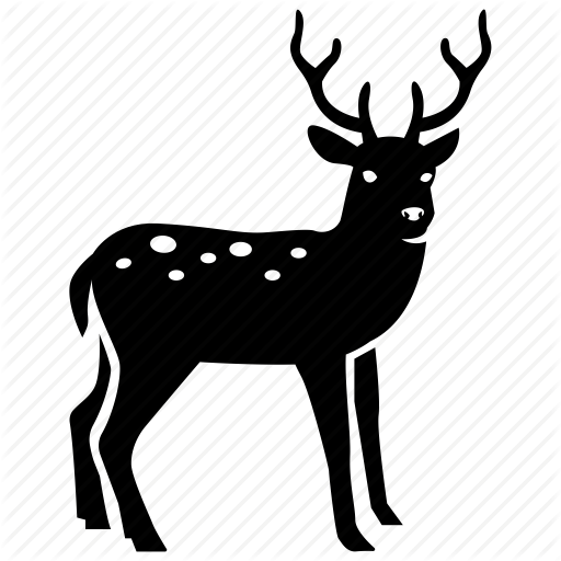 Deer Hunting Vector