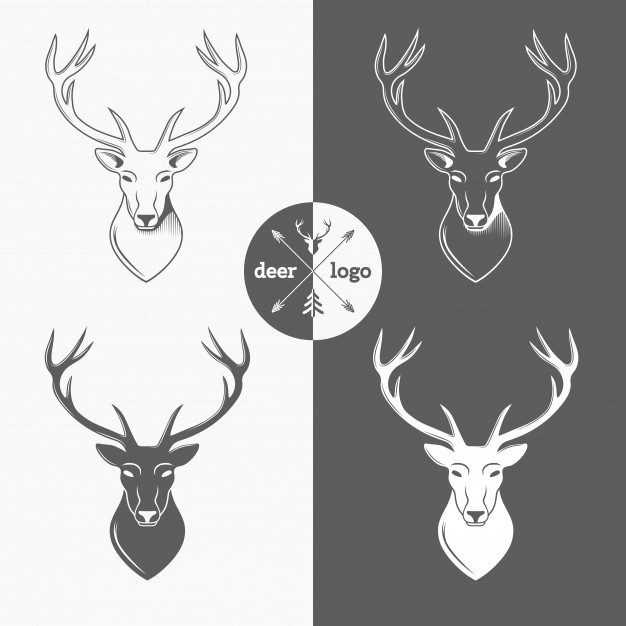 626x626 Deer Head Isolated For Hunter Club, Hunting Vector Illustration