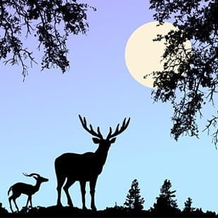 Free Download Nature Scene Vector With Deer 310x310 Free Download Nature Scene Vector With Deer