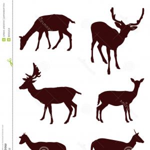 Nature Scene Vector With Deer Handandbeak 300x300 Nature Scene Vector With Deer Handandbeak