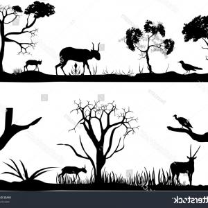 Wild Animals In The Jungle Scene Vector Cultracing 300x300 Wild Animals In The Jungle Scene Vector Cultracing