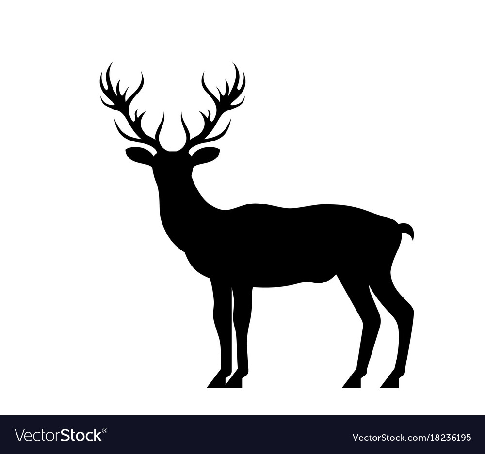1000x937 Huge Collection Of 'silhouette Deer' Download More Than Images