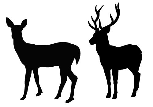 500x350 Animal Vector Silhouette Archives