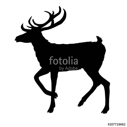 500x500 Deer Silhouette, Vector, Illustration Stock Image And Royalty