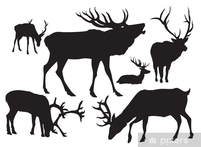 700x513 Deer Silhouettes Vector Wall Mural We Live To Change