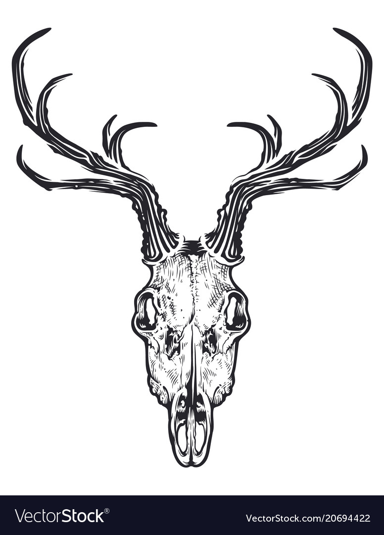 Download Deer Skull Silhouette Vector at Vectorified.com ...