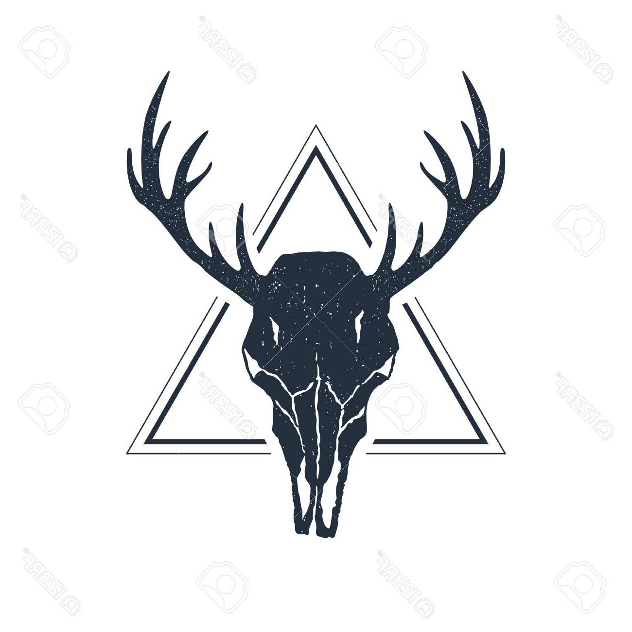 Download Deer Skull Silhouette Vector at Vectorified.com ...