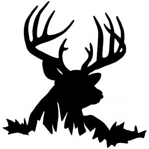 300x300 Royalty Free Stock Photo Deer Skull Antlers Silhouette