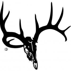 Download Deer Skull Silhouette Vector at Vectorified.com ...