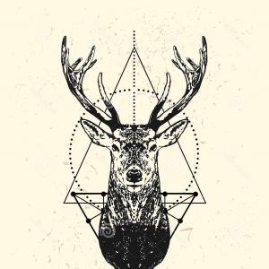 300x300 Stock Photo Deer Skull Silhouette Vector Illustration Catamart