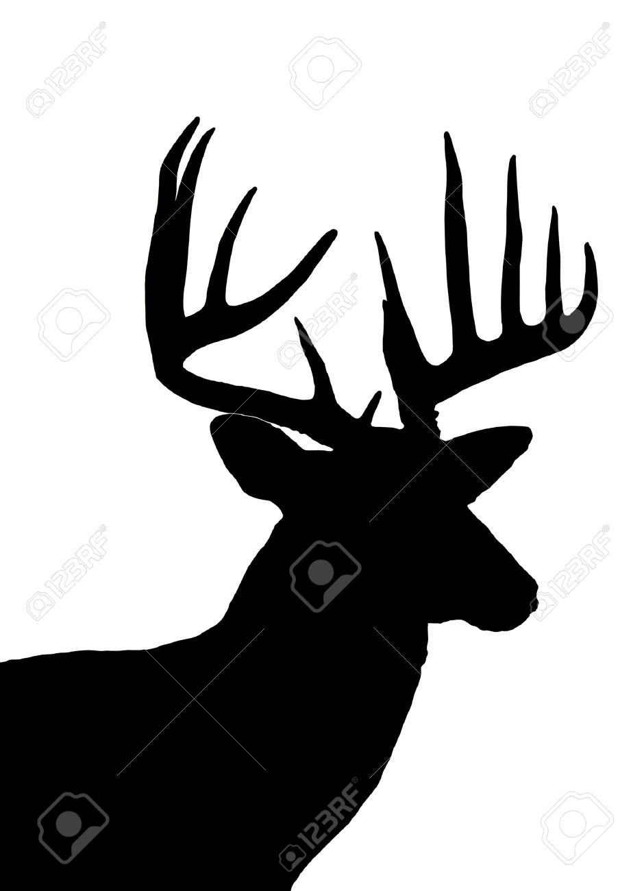 Download Deer Skull Silhouette Vector at Vectorified.com ...