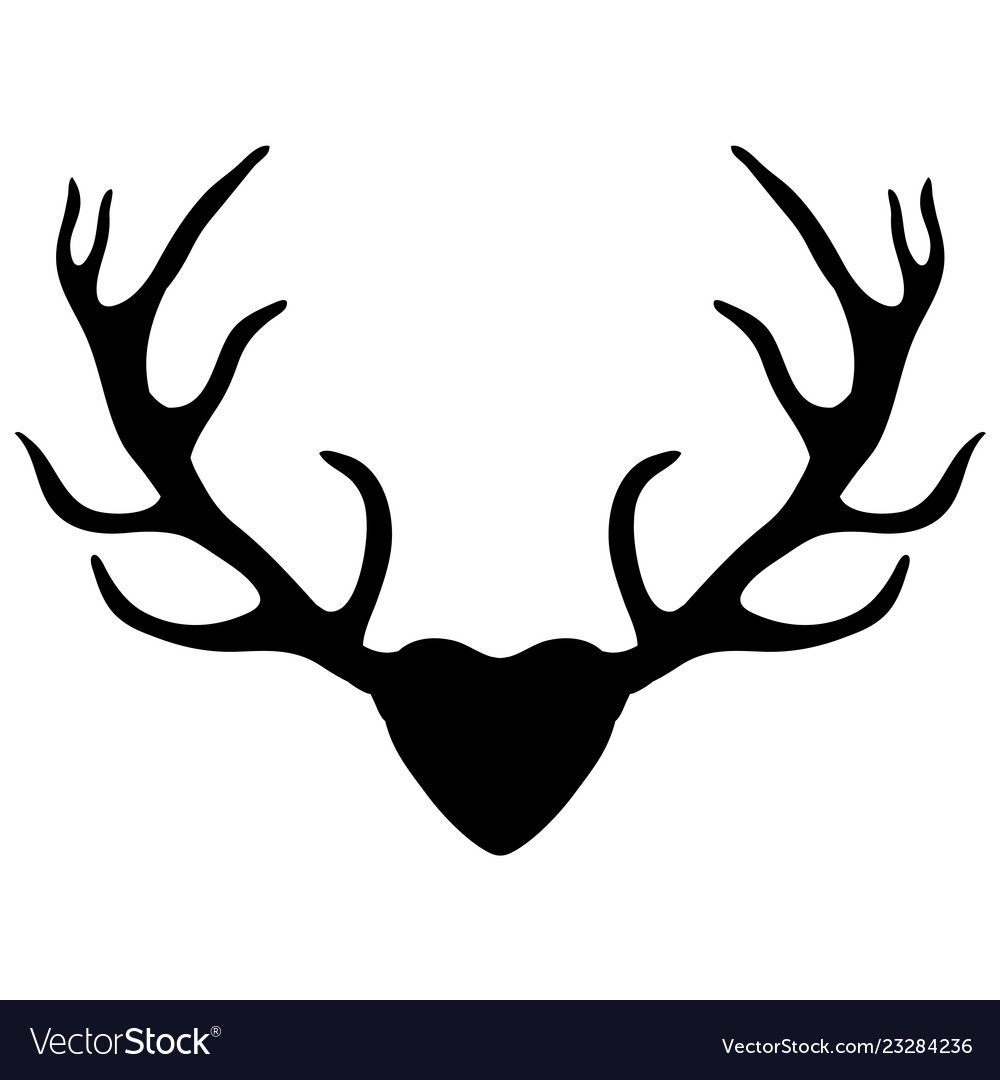 1000x1080 Deer Antler Png Images