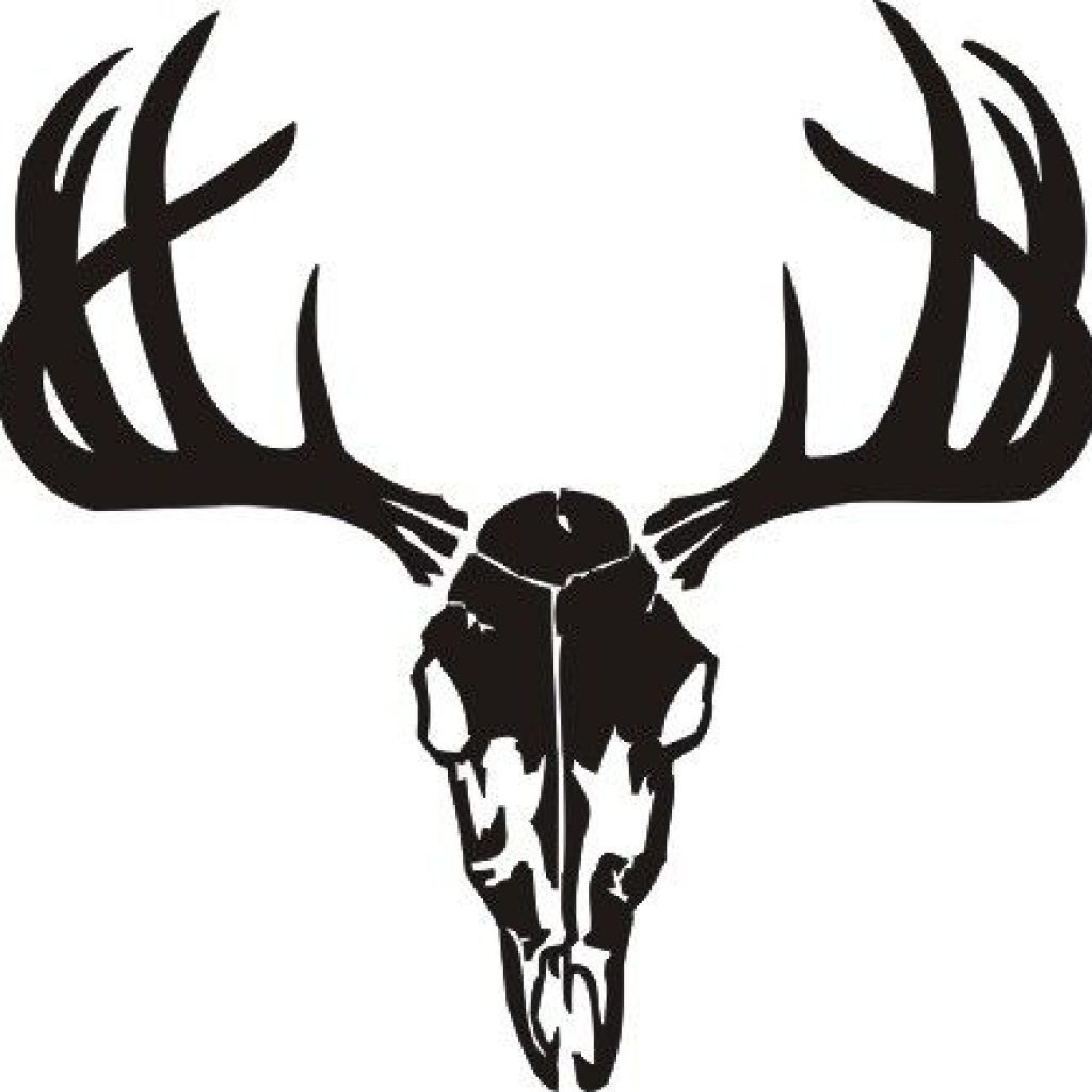1024x1024 Deer Skull Clipart