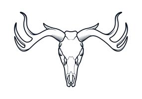 286x200 Deer Skull Free Vector Art