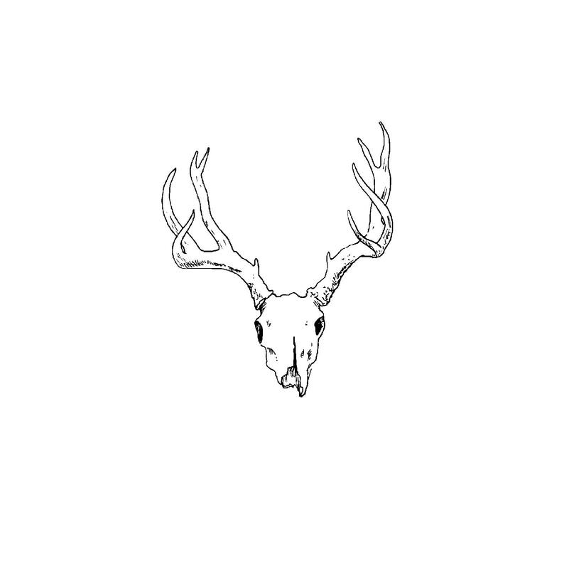 Deer Skull Vector at Vectorified.com | Collection of Deer Skull Vector ...