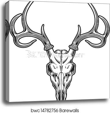 382x390 Deer Skull Vector, Canvas Print Barewalls Posters Prints